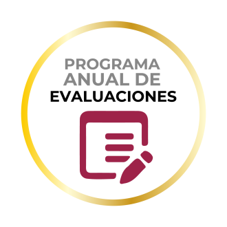 PROGRA-EVALUACIONES-25-3