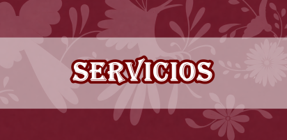 SERVICIOS